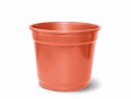 Vaso Nutriplan